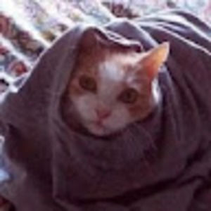 Meet your Posher, Ariana